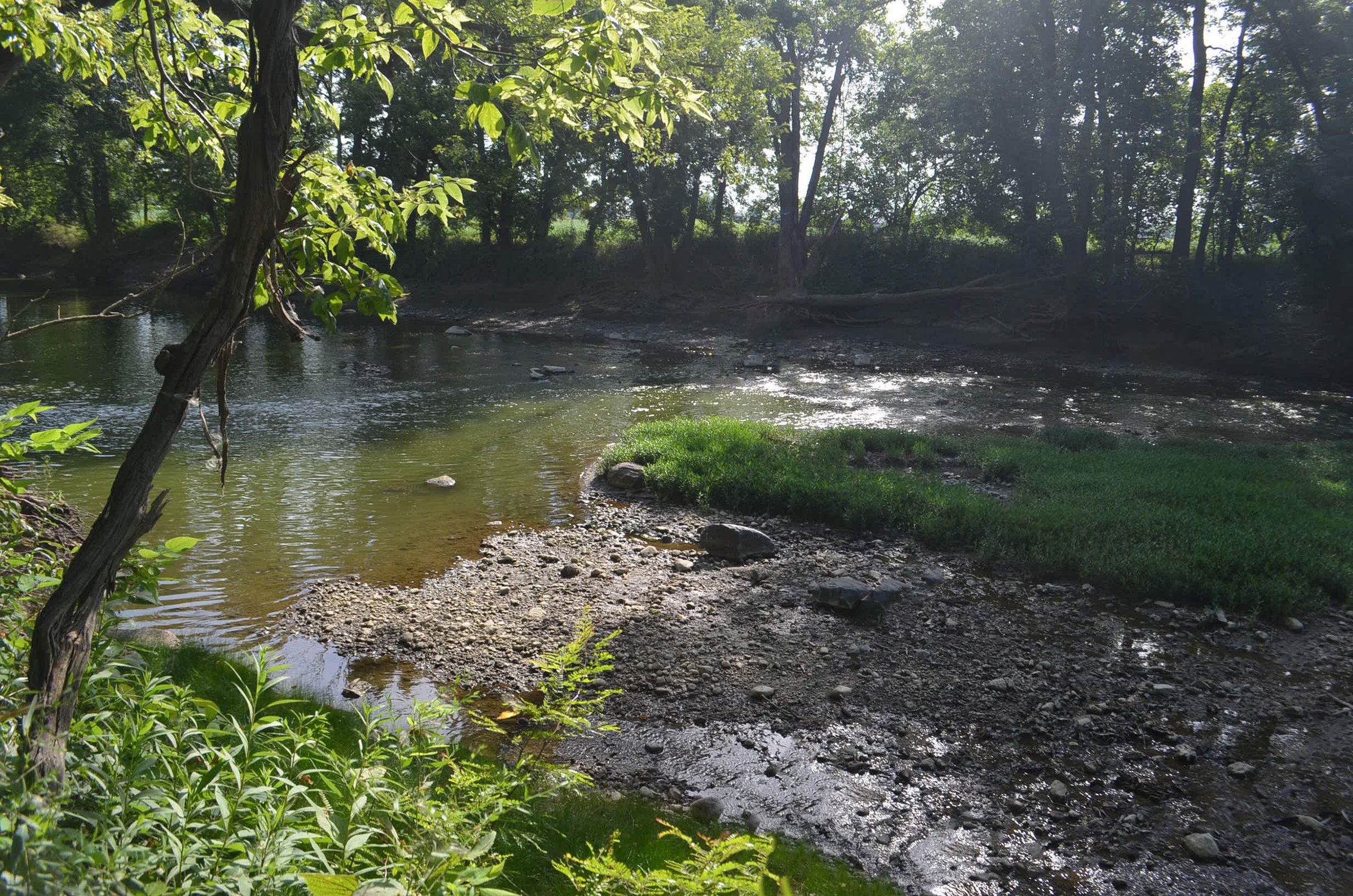 Property photo 29 - REAL ESTATE AUCTION - 26+/- ACRES IN 3 TRACTS IN SOUTHWEST ALLEN COUNTY, INDIANA